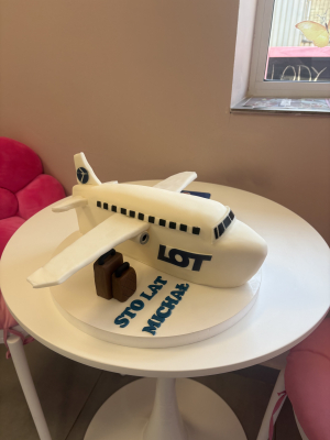 Tort samolot 3D
