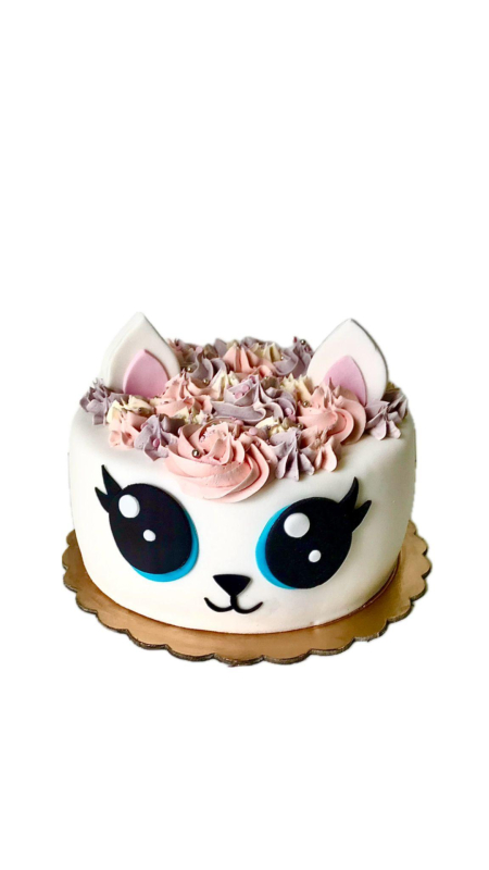 Tort kotek