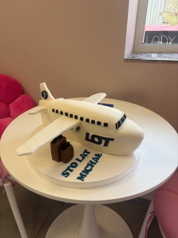 Tort samolot 3D
